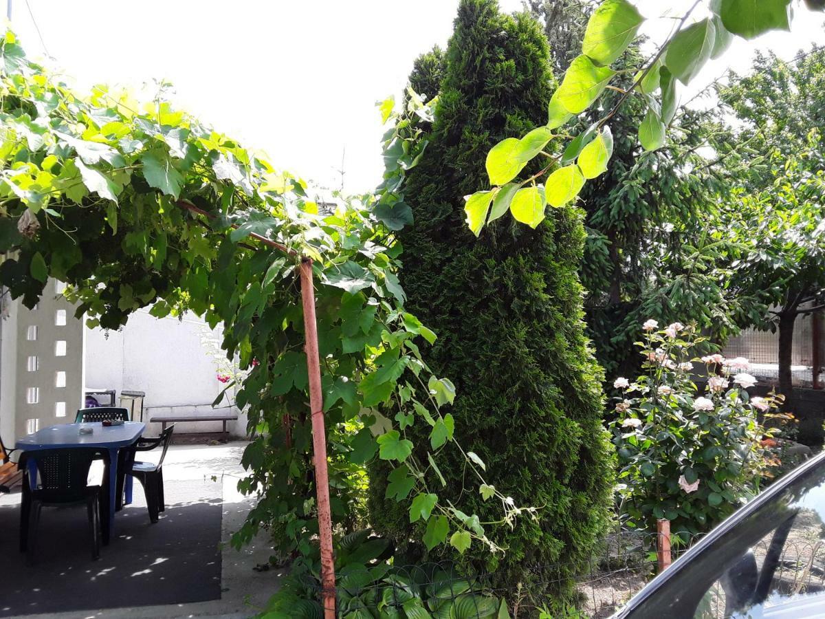 شقة Old House فاما فيكي المظهر الخارجي الصورة